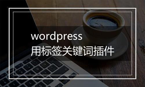 wordpress用标签关键词插件