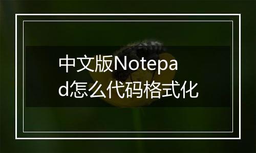 中文版Notepad怎么代码格式化