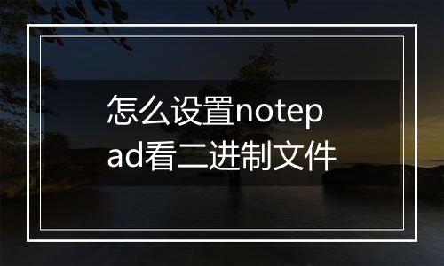 怎么设置notepad看二进制文件