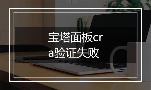 宝塔面板cra验证失败