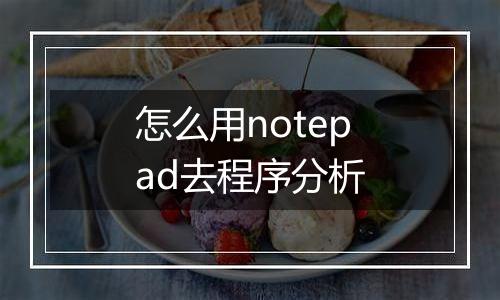 怎么用notepad去程序分析