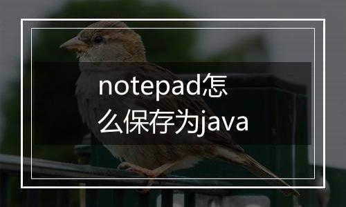 notepad怎么保存为java