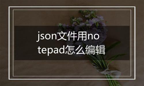 json文件用notepad怎么编辑
