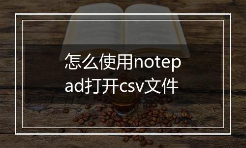 怎么使用notepad打开csv文件