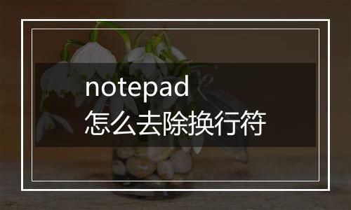notepad怎么去除换行符