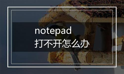 notepad打不开怎么办