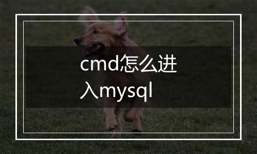 cmd怎么进入mysql