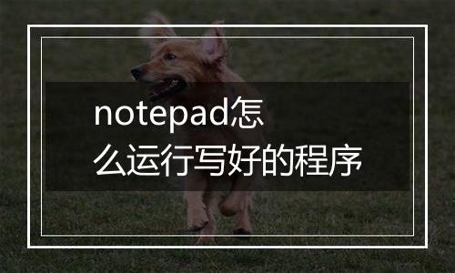 notepad怎么运行写好的程序